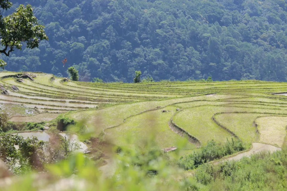 Kho gạo của Nguyễn Đức Thôn